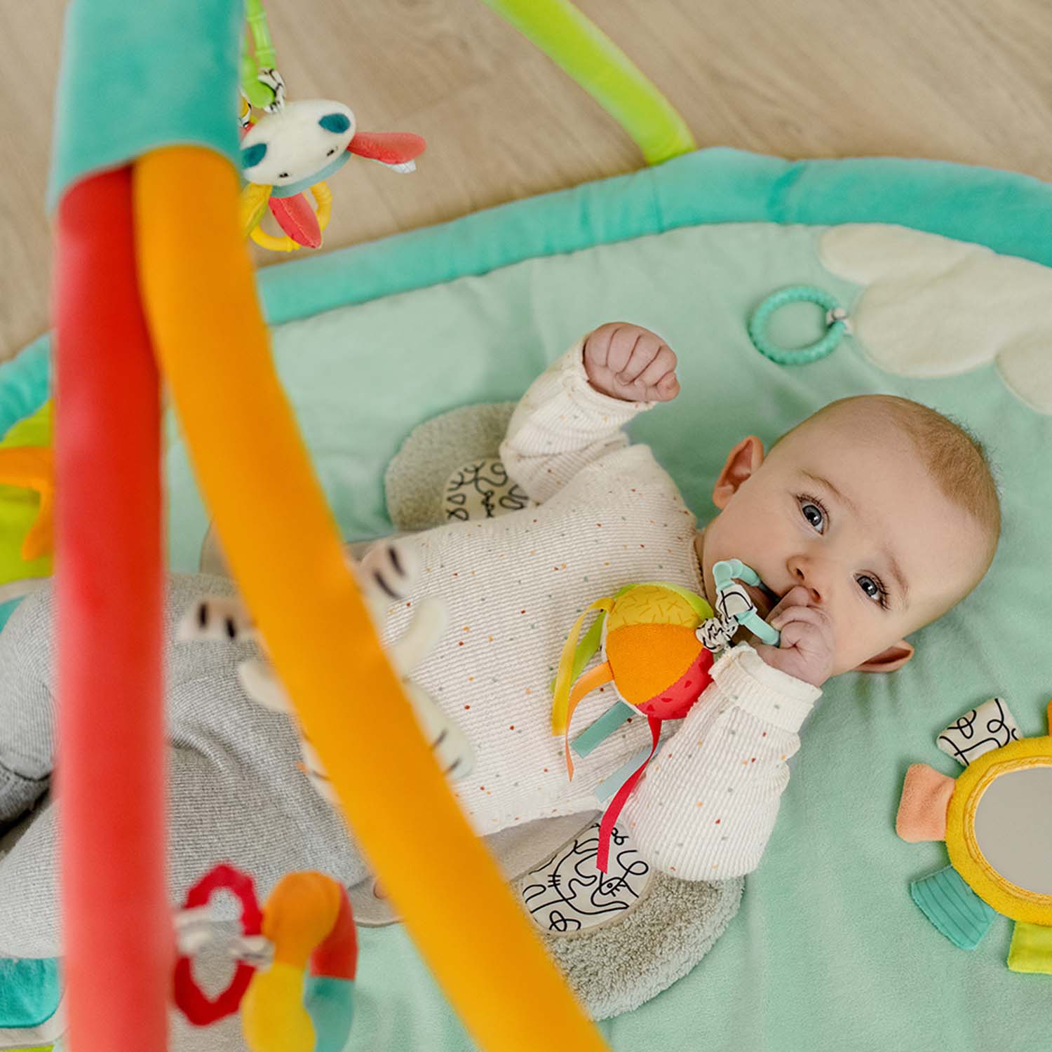 Fehn 3-D izglītojošs paklājiņš mazulim "Koala"