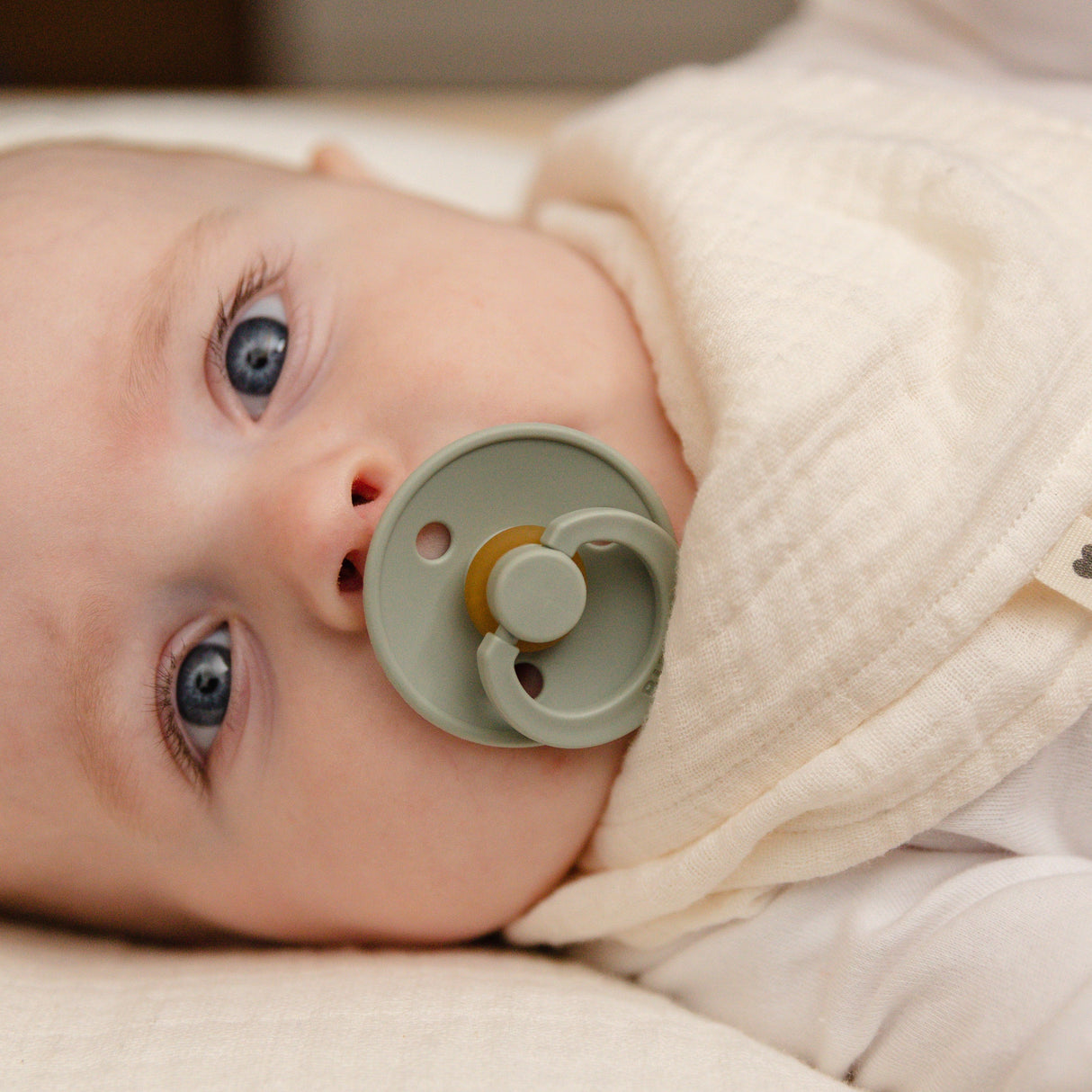 BIBS knupīšu komplekts Color Try-it 3 gab. Vaigu sārtums