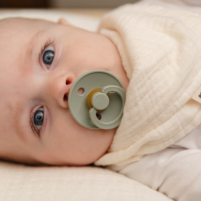 BIBS knupīšu komplekts Color Try-it 3 gab. Salvija