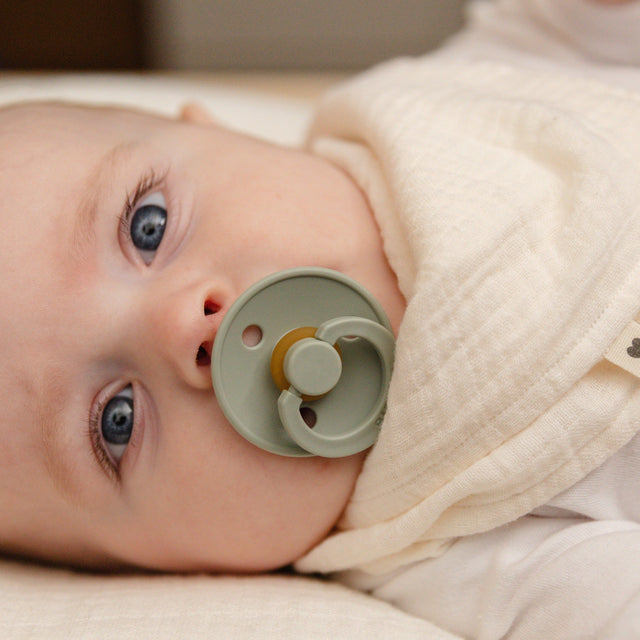 BIBS knupīšu komplekts Color Try-it 3 gab. Ziloņkauls