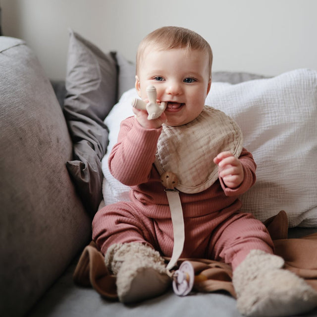 Zaķa košļājamā musija (Bunny Sage)