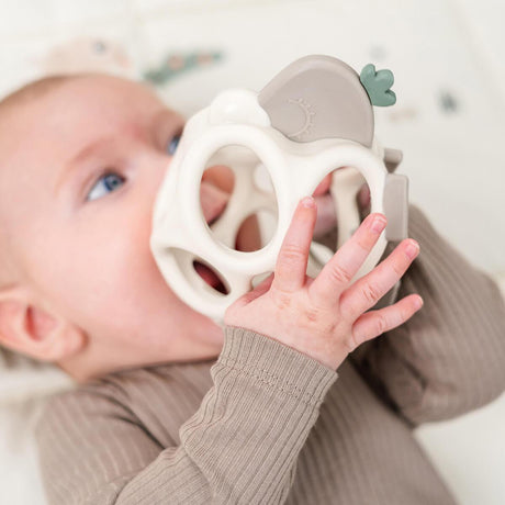 Mushie silikona košļājamā bumbiņa Žāvēts timiāns