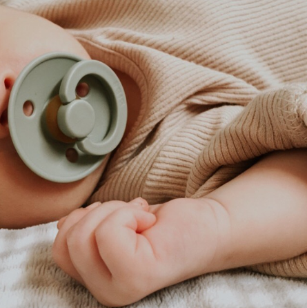 BIBS čiulptukų rinkinys 1 dydis (0 - 6 mėn.) Honey Bee / Olive (4927872630866)