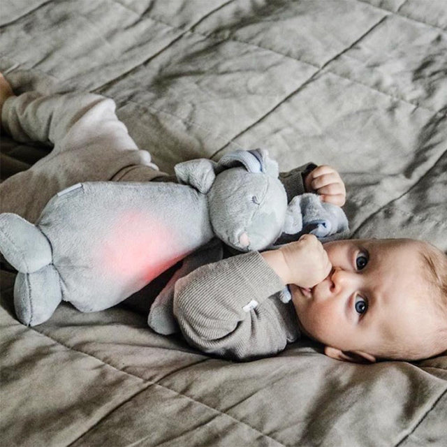 Mūnija miegains pelēks zaķis (sudrabs)