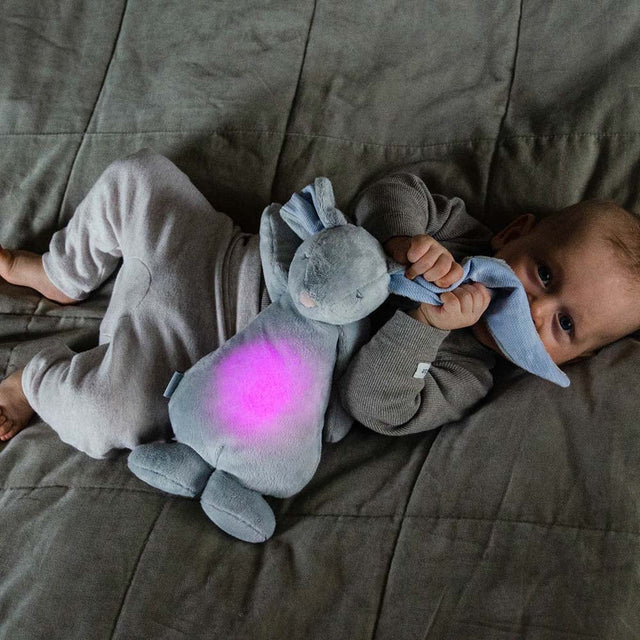 Mūnija miegains pelēks zaķis (sudrabs)