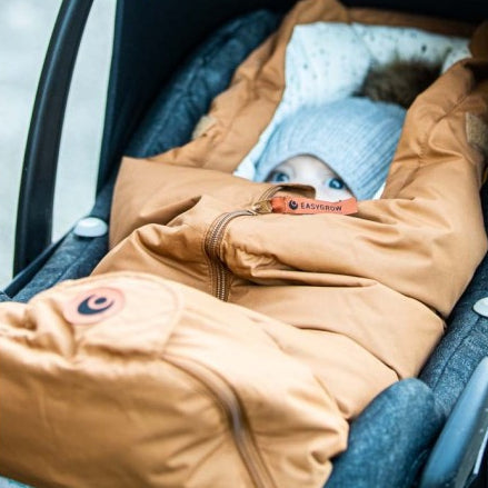 Ar reikia atskiro vokelio automobilinei kėdutei?