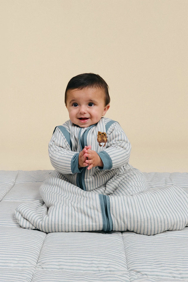 Molis&Co kūdikio miegmaišis  su nusegamomis rankovėmis TOG 2.5 Blue Stripes