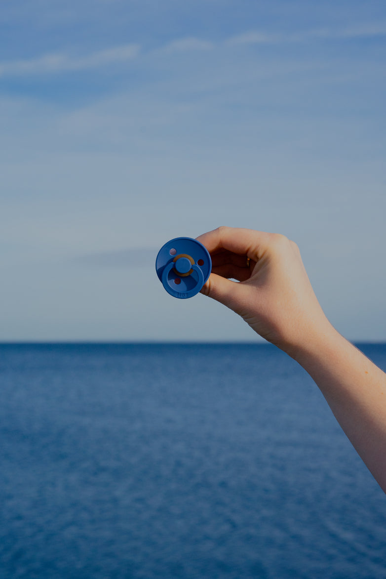 BIBS knupīšu komplekts 2. izmērs (6 - 18 mēn.) Priede / Rudzupuķe 