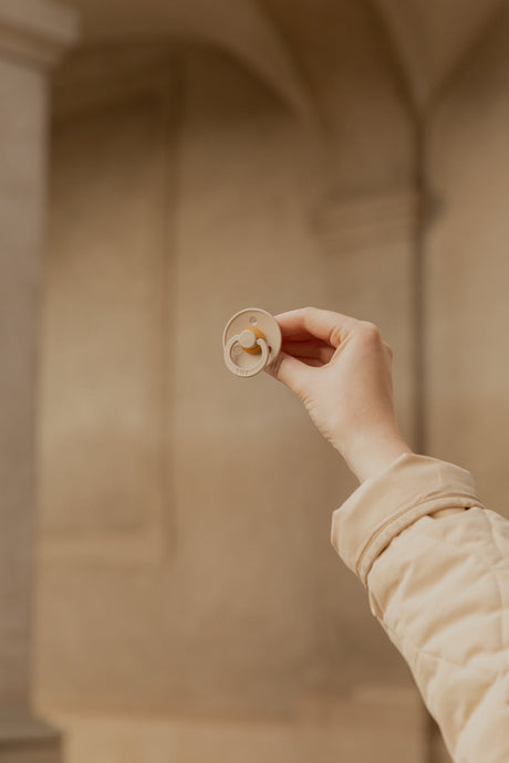 BIBS knupīšu komplekts 1. izmērs (0 - 6 mēneši) Priede / Rudzupuķe 