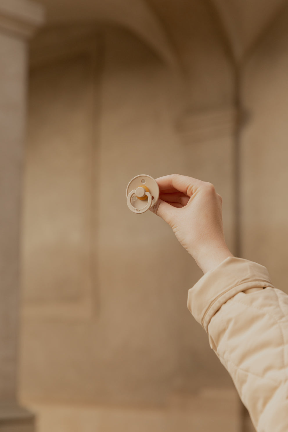 BIBS knupīšu komplekts 2. izmērs (6 - 18 mēn.) Priede / Rudzupuķe 