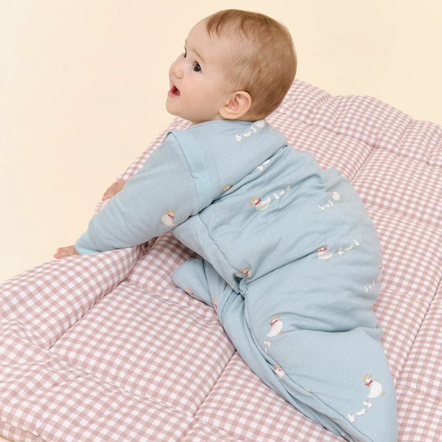 Molis&Co kūdikio miegmaišis  su nusegamomis rankovėmis TOG 2.5 Duck Family