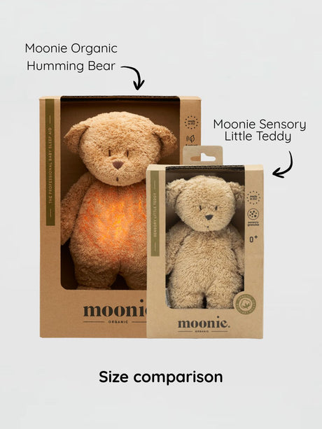 Moonie sensorinis minkštas žaislas Little Teddy Cappuccino