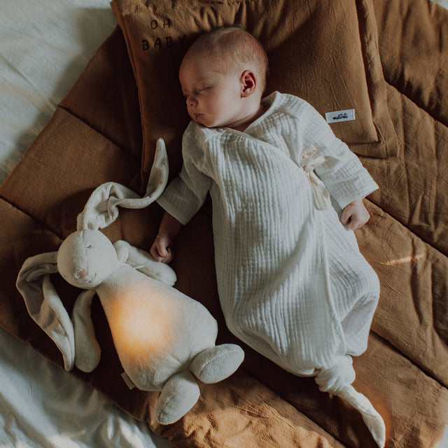 Mūnija miegains pelēks zaķis (sudrabs) 