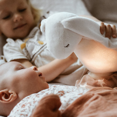 Mūnija miegains pelēks zaķis (sudrabs) 