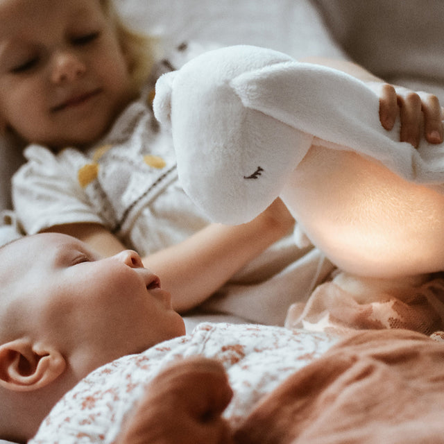 Mūnija miegains pelēks zaķis (sudrabs) 