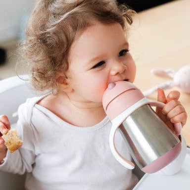 BEABA metalinė gertuvė su šiaudeliu, 250 ml, Old Pink