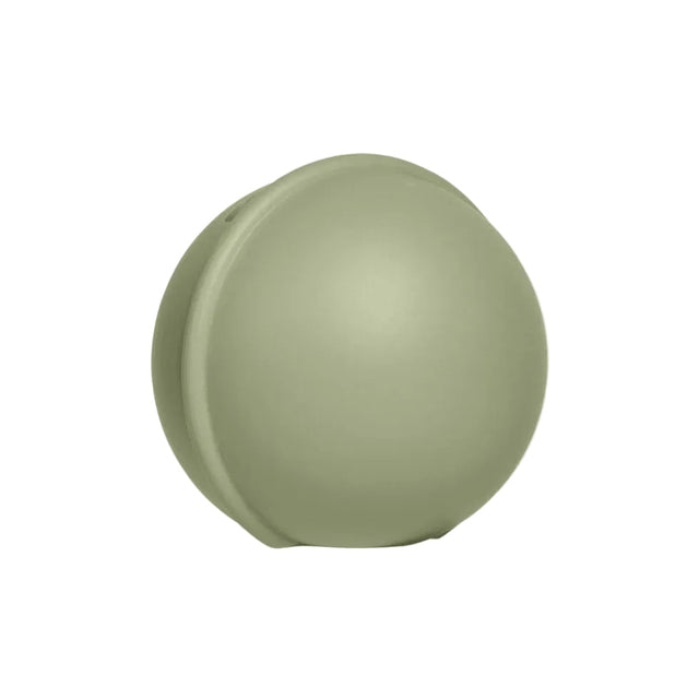BIBS čiulptuko dėklas Pacifier Case Mini - sage