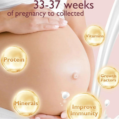 Baby Brezza Instant Warmer tūlītējais ūdens sildītājs 