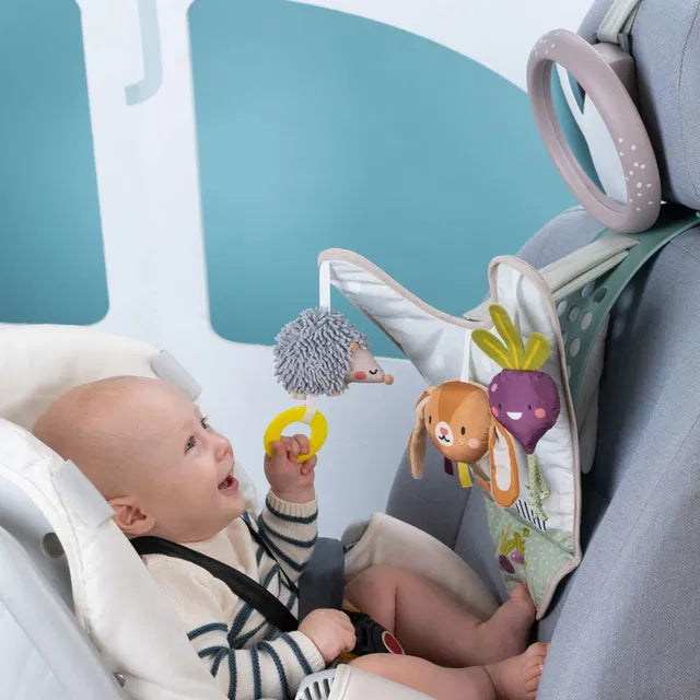 Taf Toys abpusēja mīksta grāmata mazuļiem "Pasaka"