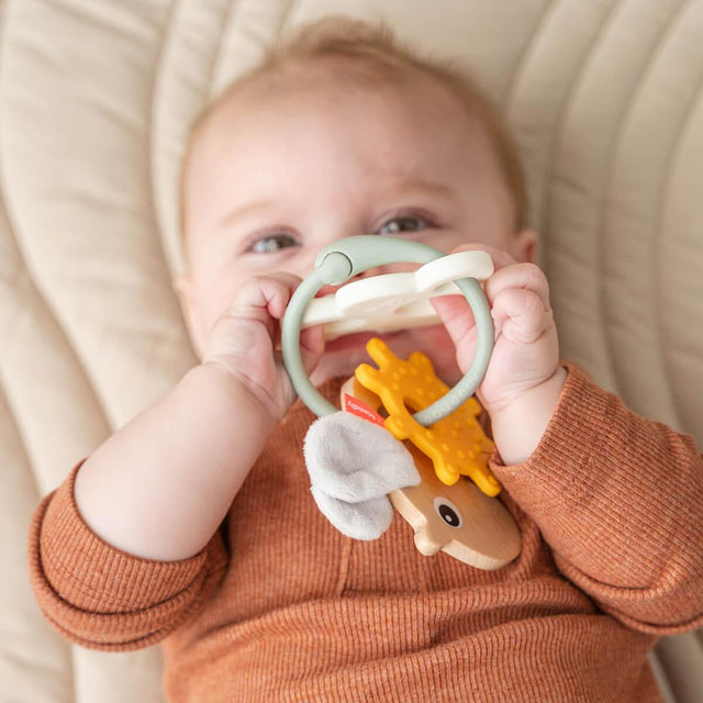 Mushie silikona košļājamā bumbiņa Žāvēts timiāns 