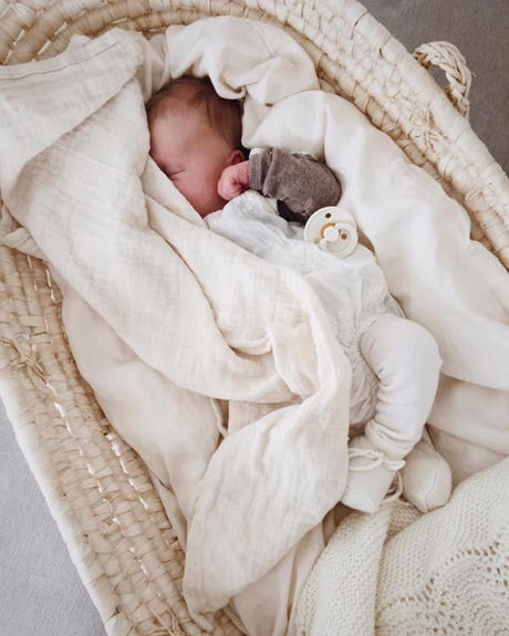 BIBS čiulptukų rinkinys 2 dydis (6 - 18 mėn.) Vanilla / Blush (4918753951826)