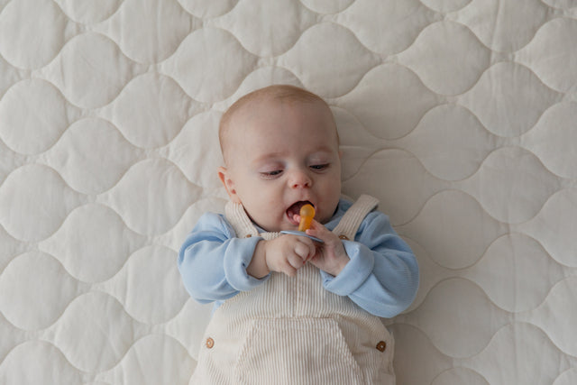 BIBS knupīša komplekts 1. izmērs (0 - 6 mēneši) Liberty Eloise Dusty Blue Mix 