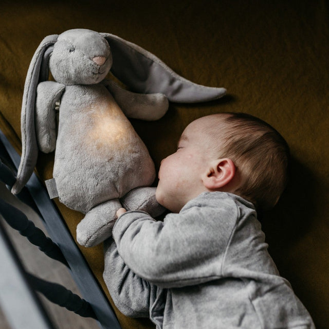 Mūnija miegains pelēks zaķis (sudrabs) 